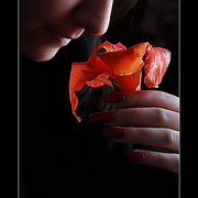 2407656464_fb93305524_card