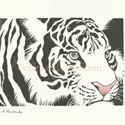 Whitetiger_card