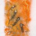 Ao29_square