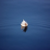 Dsc_0026feather_on_water_thumb