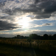 Picture_027_card