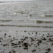 Picture_164_card