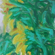 Nouvelles__31__card