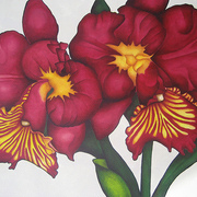Maroonorchid_card