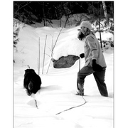 Deepsnow_card