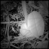 Ph080508-1_thumb