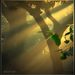 Morning-light-w_square