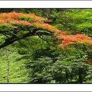 Summer-colours_card