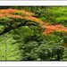 Summer-colours_square