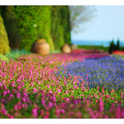 Dsc_5186_card