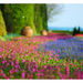 Dsc_5186_square