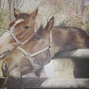 Cimg1498_card