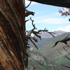 Mount_harvard_223_thumb