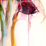 Amaryllis_card