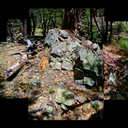 Burnttreestone_02_card