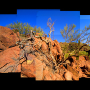Lifeonrocks_02_card