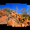 Lifeonrocks_02_thumb
