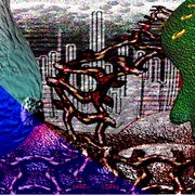 Jku--_hgb4--nb2_card