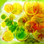 Limon_395_alexandr_alexandrow_little_lab_card