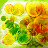 Limon_395_alexandr_alexandrow_little_lab_thumb