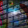 08316_city_collage_02_thumb