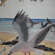Img_0103_card