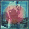 Venus_thumb