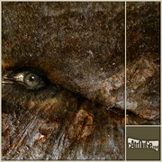 Separazione1_card