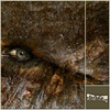 Separazione1_thumb