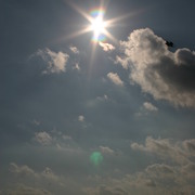 Picture_169_card