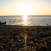 Picture_171_card