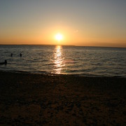Picture_173_card