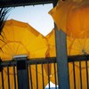 Under_summer_s_umbrella_thumb