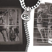 Zipper_01_card