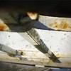 Simple_stair_thumb