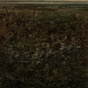Reddscn5231_card