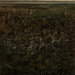 Reddscn5231_square