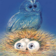 Owl_card