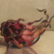 Dragon_fruit_web_card