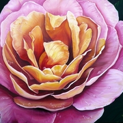 P1000241rose_2_dpi300_new_for_cards_card