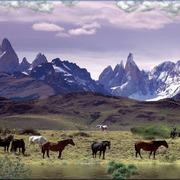 965-pastoral_card