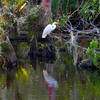 Egretsworld_3_thumb