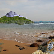 970-jaguar_beach_card
