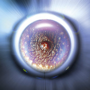 Elboton_800_card