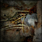 Ph080708-4_card