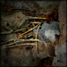 Ph080708-4_square
