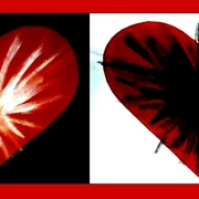 Heartof_card