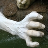 Img_4334_klein_thumb