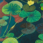 1216_yellow_lily_card