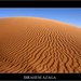 Desert3_square